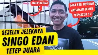 SINGO EDAN JELEK MASIH JUARA ‼️ Kelas Utama Kedua Juara 2 NGOBAR GAGAK SAKTI