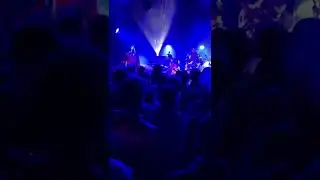 The Fat Badgers