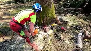 Soma FK 80 Fällkeil mit Stihl 261Westcoustsaw