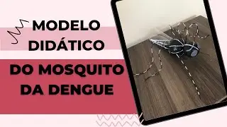 Como fazer um modelo didático do mosquito da dengue/ Didactic Model Mosquito da Dengue. #model#