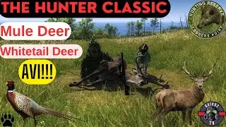 The Hunter Classıc - Loggers Poınt - MÜLE DEER , WHİTETAİL DEER - geyik avı.