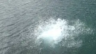 mikaleighea takes a dip