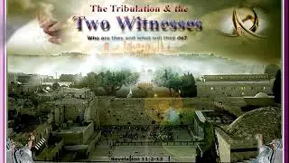 The Two Witnesses: A Male and A Female?