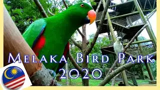 Melaka Bird Park visit | sekitar pkp 2020