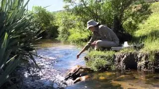 Rondegat River Restoration Project, Cederberg Wilderness Area, Western Cape, South Africa