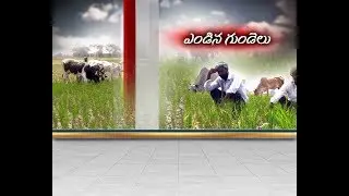 Farmers Struggle with Lack of Ground Water Level | at Mahabubnagar District