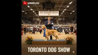 Toronto Royal Fair Dog Show | Fastest & Cutest Dogs | Punjabi Vlog