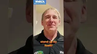 NWACA Bad Dad Jokes -- Brian Smith of Gig Harbor Automotive Service