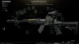 Tarkov -Team
