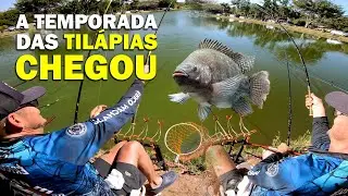 A TEMPORADA DAS TILÁPIAS CHEGOU ! Pescaria na diária do pesqueiro Biazi