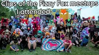 Fizzy Fox Meetups Clips 🦊🐾🫧🥤