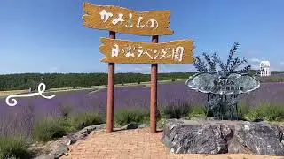 Explore Hokkaido by train