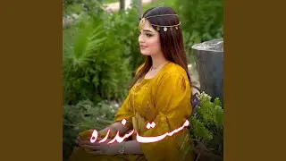 پښتو نوي مست سندره