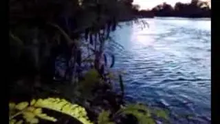 double hook up! salmon fishing