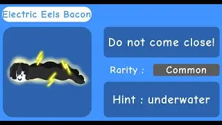 How to get the Electric Eels Bacon - Find the Bacons [Roblox]