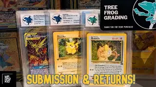 TREE FROG GRADING Submission & Returns! - [TCG] Pokemon Trading Card Game