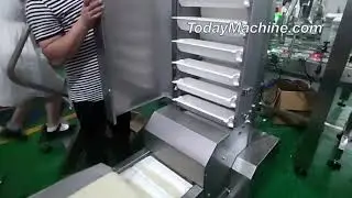 Processing Custom Bucket Elevator Particulate Z Conveyor Feeder