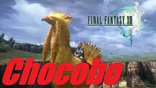 Gw Dapetin Chocobo! Gw Pake Buat Manjat Side Quest - Final Fantasy XIII (30)