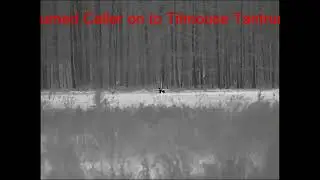 Solo male taken with a Super yoter Thermal Bering optics