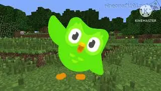 Duolingo   El Pollito Pio (Reupload)