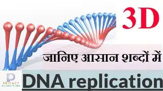 DNA replication in Hindi/DNA duplication/DNA replication, molecular structure