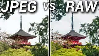 JPEG vs RAW – Which Image Format is Better?