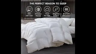 Luxurious Palatial King Super King 120 x 98 Size Goose Down Fiber Waterfowl Feather Fiber Comforter