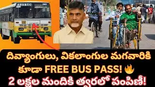 AP FREE BUS Scheme for Disabled Men |New Update |2 Lakh Passes Soon!#disability#freebusscheme#apgovt