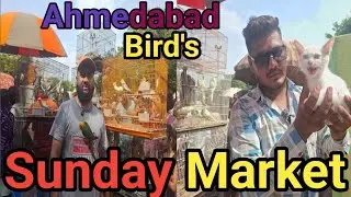 Ahemdabad bird's market/Sunday bird's market/रविवारी बर्ड्स माकेर्ट/revarfarnt bird's market/raviv..