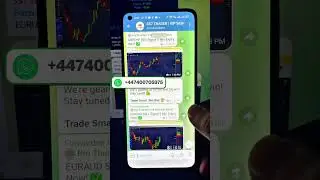 Pocket Option Quotex VIP Signals Group on Telegram #quotex #telegramgroup #pocketoption #vipsignals