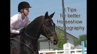8 Tips for Photographing Horse Shows