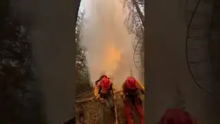 Real Heroes 🤩 #helicopter #incendio #pilot #aviation #bomberos #firefighter #wildfire