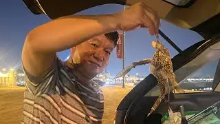 Crabbing in Doha! 🦀🦀🦀