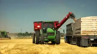 Intellectual Property Rights in Agriculture