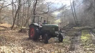 Holz machen 2013 mit Fendt Farmer 2 D und BGU FSW 3,5 M