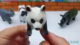 Cognitive hippo rhinoceros elephant cow and giant panda