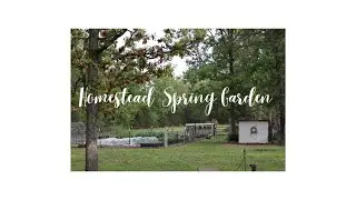 Homestead Spring Garden 🌱