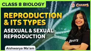 Reproduction and it's Types | Asexual reproduction | Reproduction in animals Class 8 CBSE