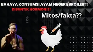 INI GAWAT!PROTEIN AYAM BROILER/AYAM NEGERI  DISUNTIK HORMON!