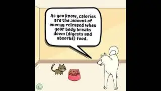 noxpaws what is calories