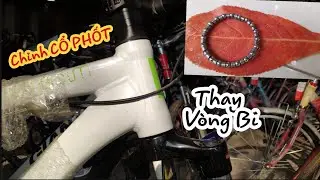 Sử dụng và Sửa chữa | Chỉnh cổ phốt và thay vòng bi - Nhẹ và mượt.