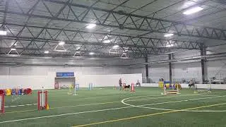Raven-Wildcard cpe agility L5(Oct 4)