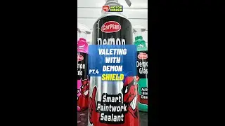 VALETING WITH DEMON Pt4 - DEMON SHIELD