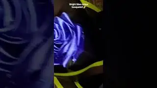 Royal blue colour bouquet!!🧿Myy 1st video hope yuhh support mehhh!!🌈🌷✨