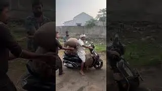 దేశివాళి వడ్లుని ఆడించటకి తీసుకురావటం జరిగింది #viralshorts #ytshorts #organicfood
