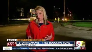 Tree blocks Losiantville Avenue in Pleasant Ridge