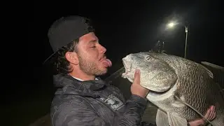 Black drum fishing in Corpus Christi Tx using limited gear and bait!