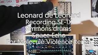 Work in Progress Recording Se1x Bassline / Simmons Drum and Roland Re201 Space Echo Fx for a Remix