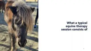 Equine Therapy for Treating Addiction