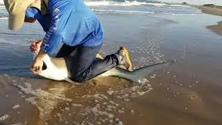 Drone Shark Fishing at SPI